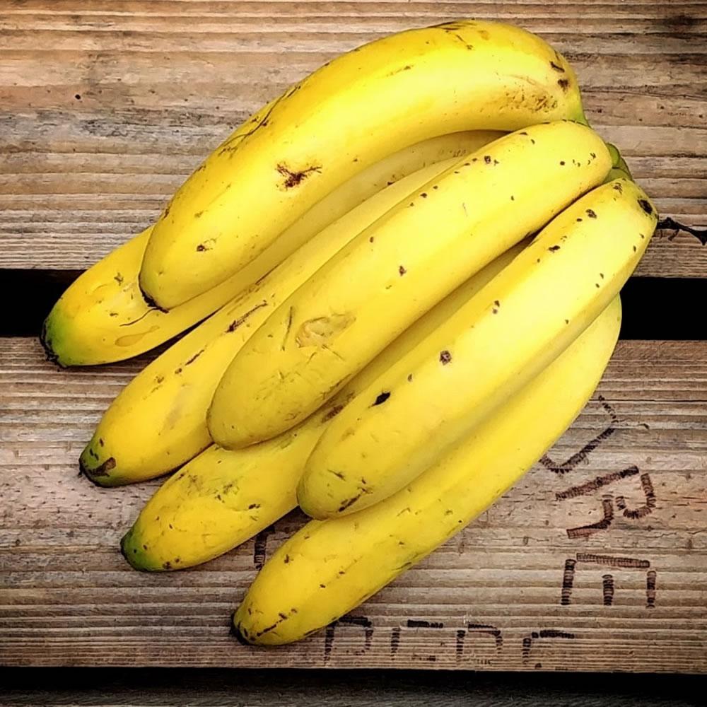 Além do potássio: conheça outros benefícios da banana para a saúde