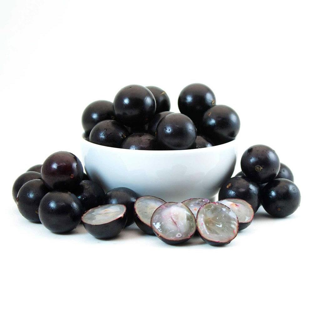 [Jabuticaba]